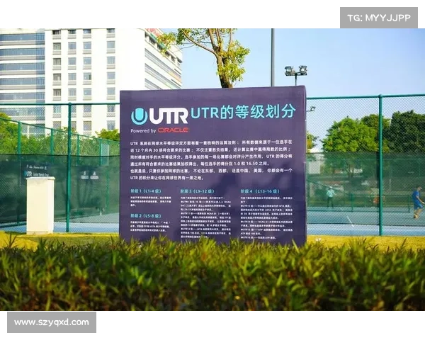 网球级别评定划分